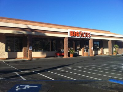 Big Lots Cat City.jpg