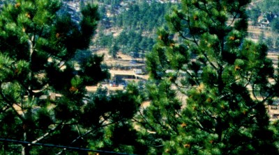 Image1.jpg